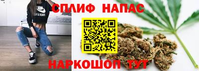 мдпв Аргун